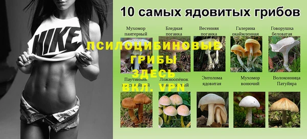 MESCALINE Алзамай