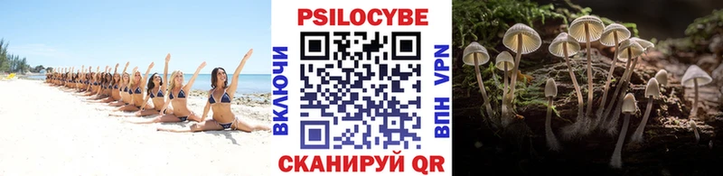 кракен ТОР  Рошаль  Псилоцибиновые грибы Magic Shrooms 